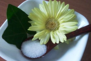 キシリトールとリカルデントの違いって何？